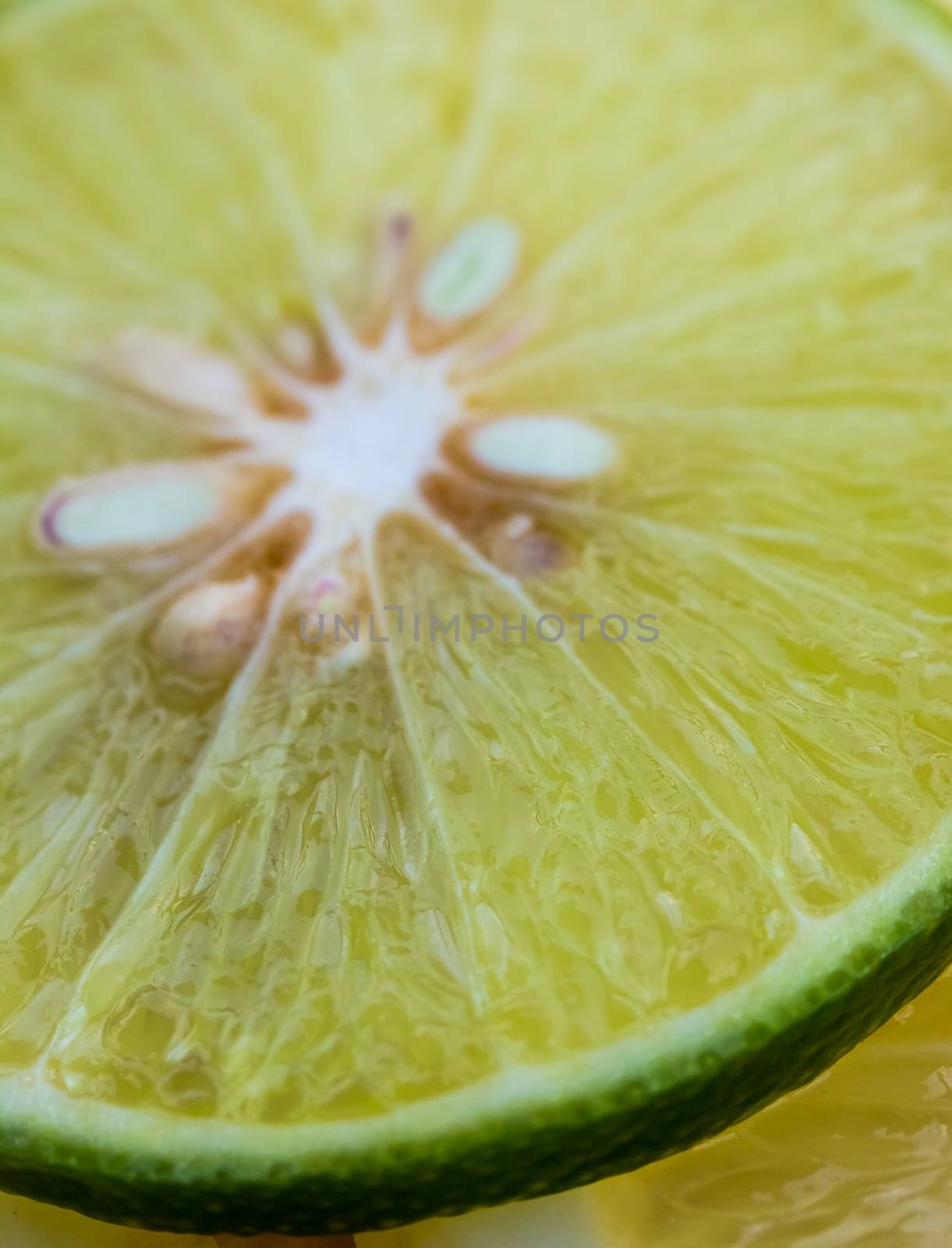 Lime Slices Represents Cut Tropical And Refreshing by stuartmiles