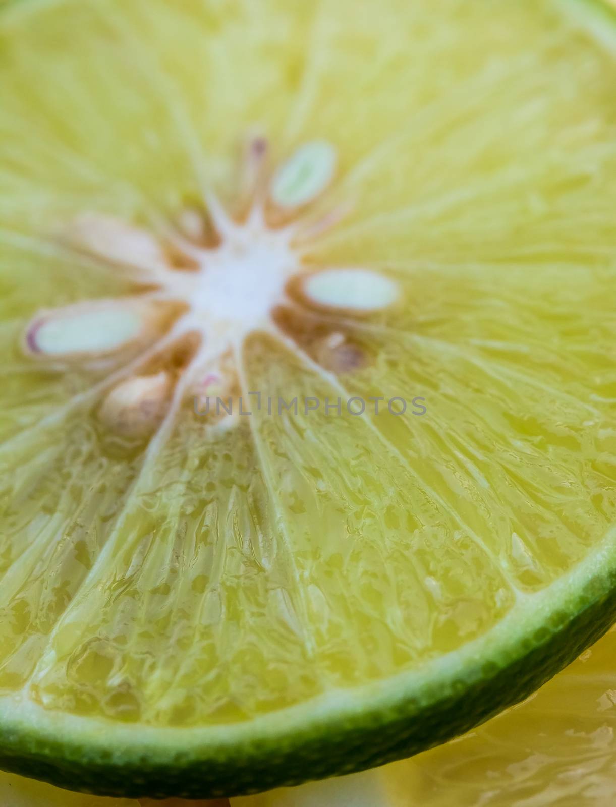 Lime Slices Indicating Cut Citrus And Sour