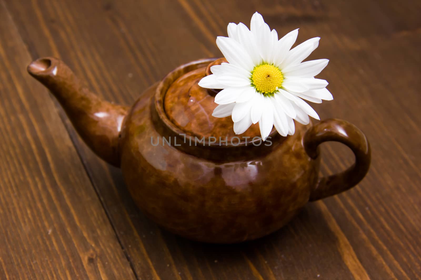 Teapot with chamomile and flower on wooden table