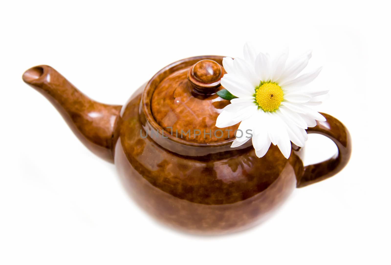 Teapot with chamomile flower on white background