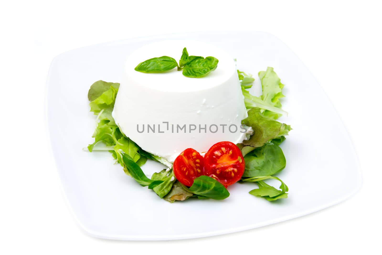 Cottage cheese on plate on white background