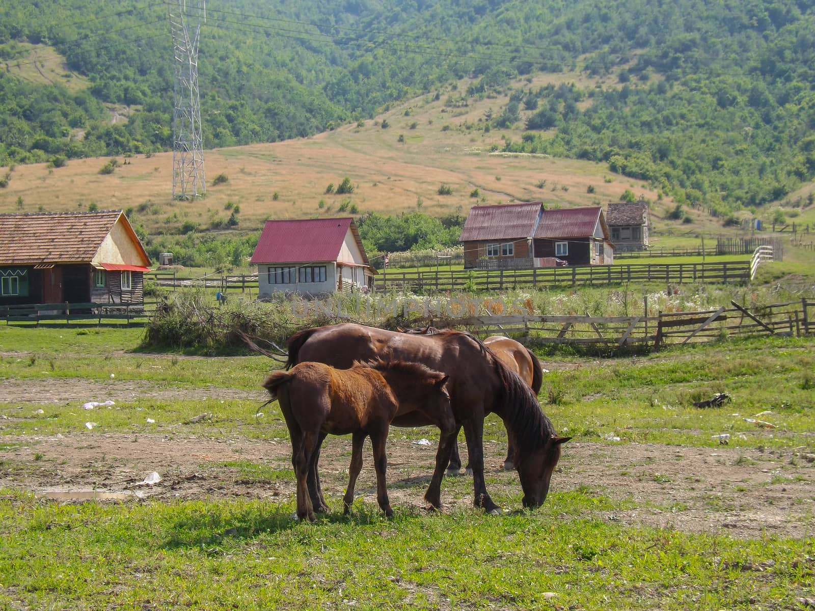 Typical village in Transylvania,Romania