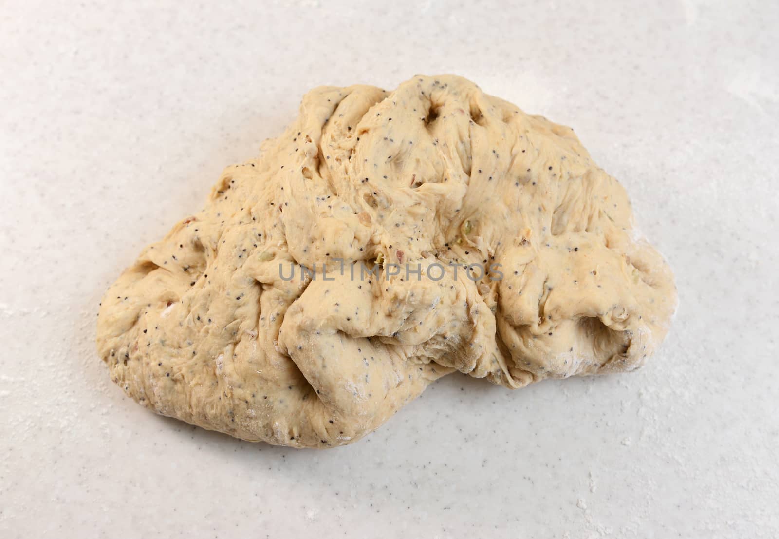 Kneaded multi seed malted bread dough after a proving period