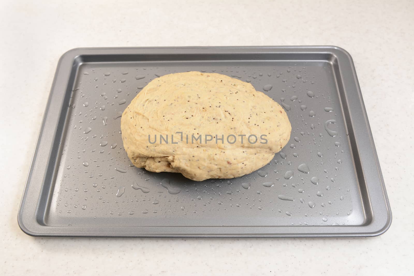Smooth, kneaded bread dough on an oiled baking sheet