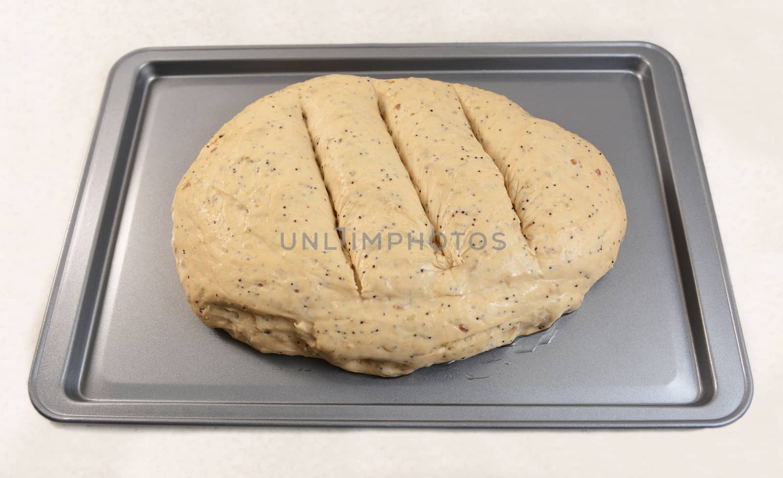 Raw bread dough with three slashes, ready for the oven