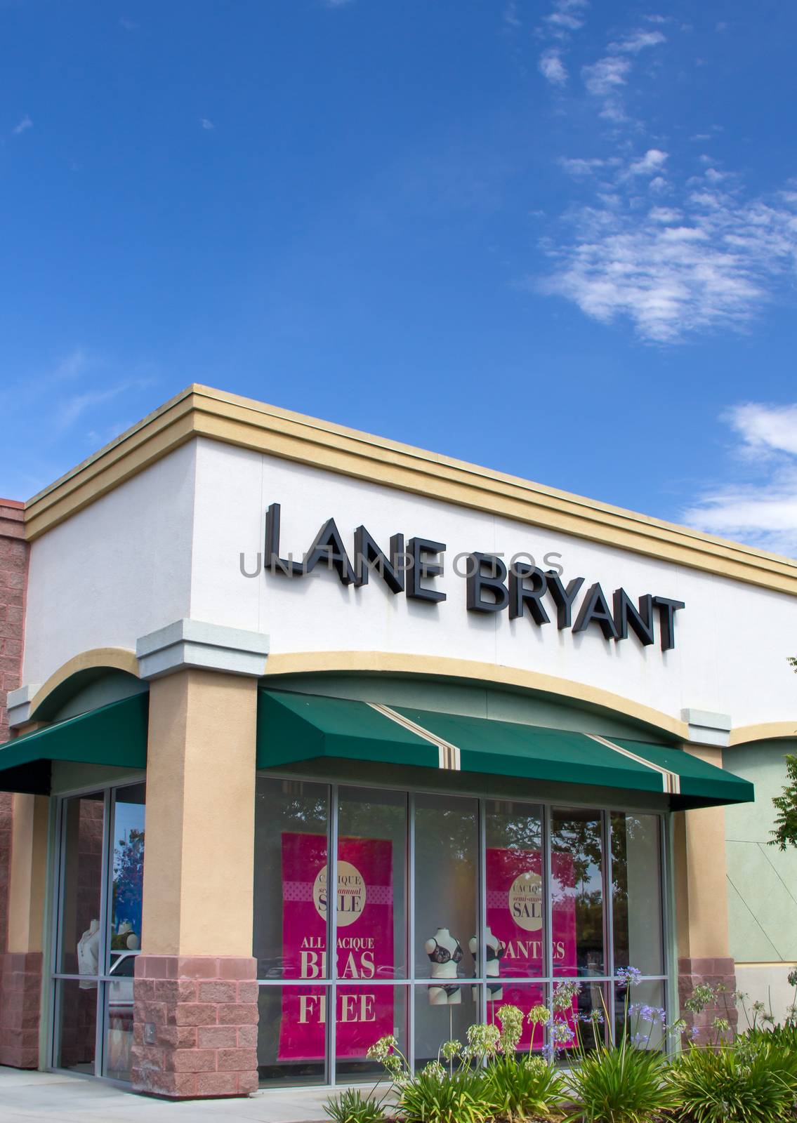 Lane Bryant Store Exterior by wolterk