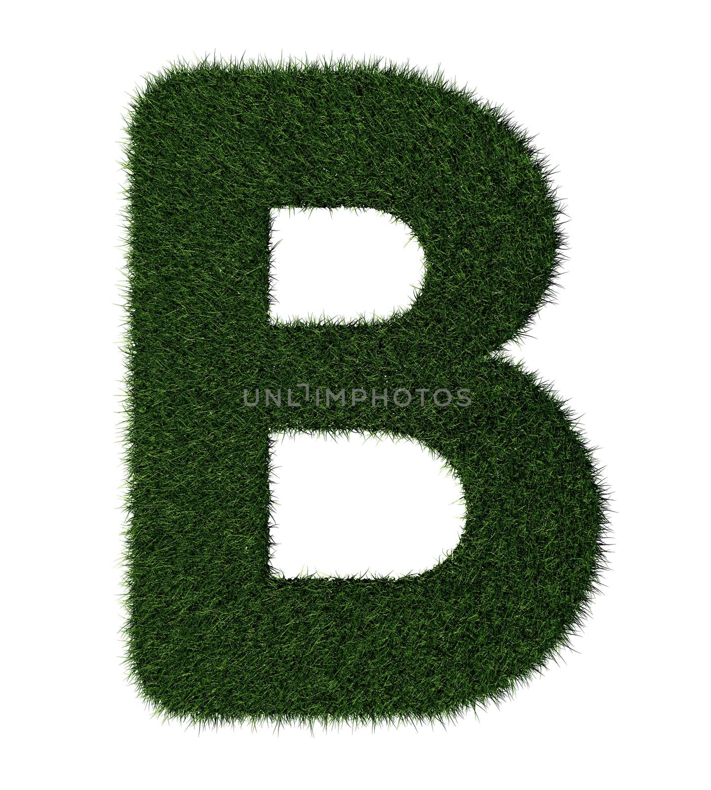Letter B made with blades of grass