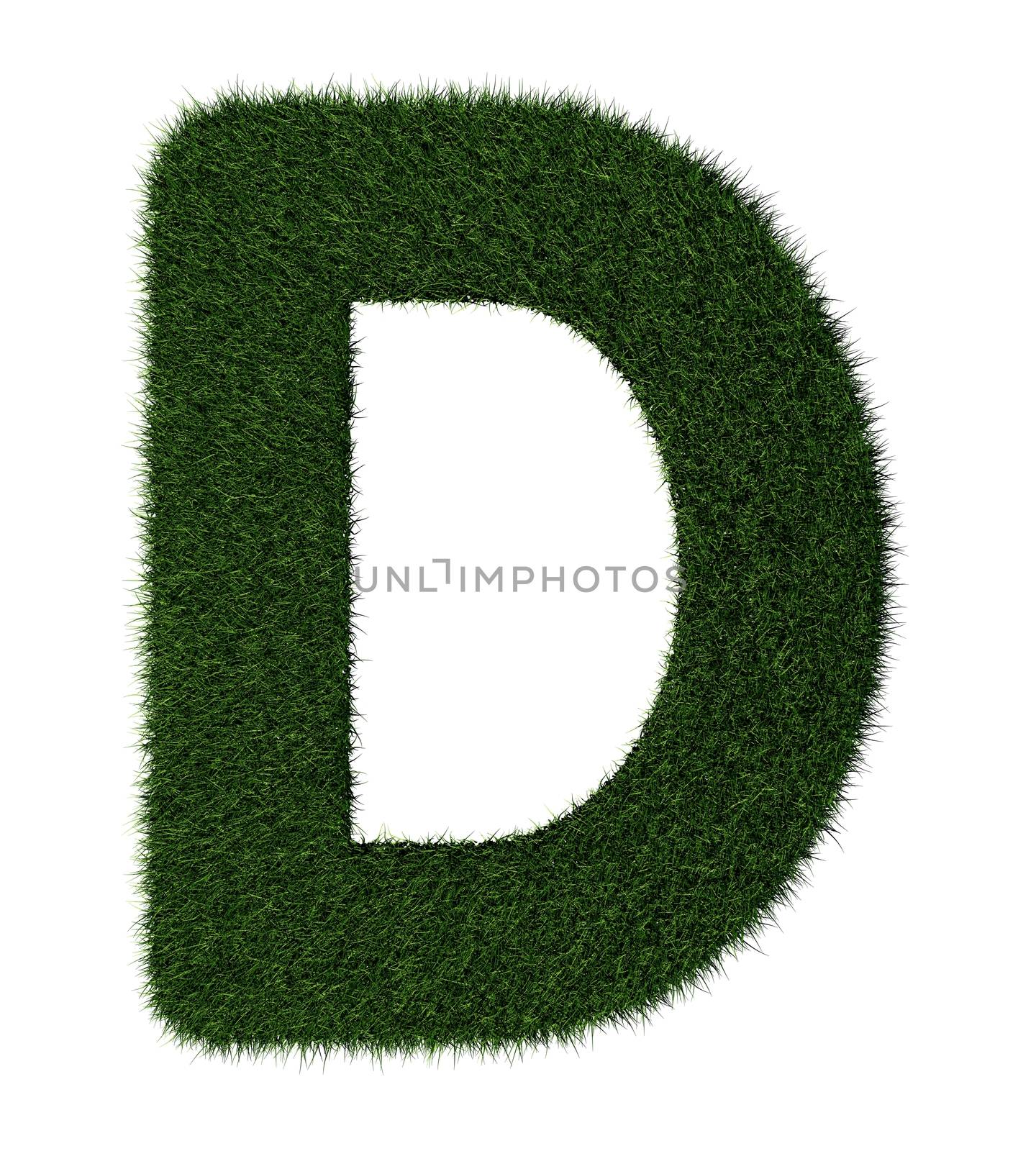 Letter D made with blades of grass