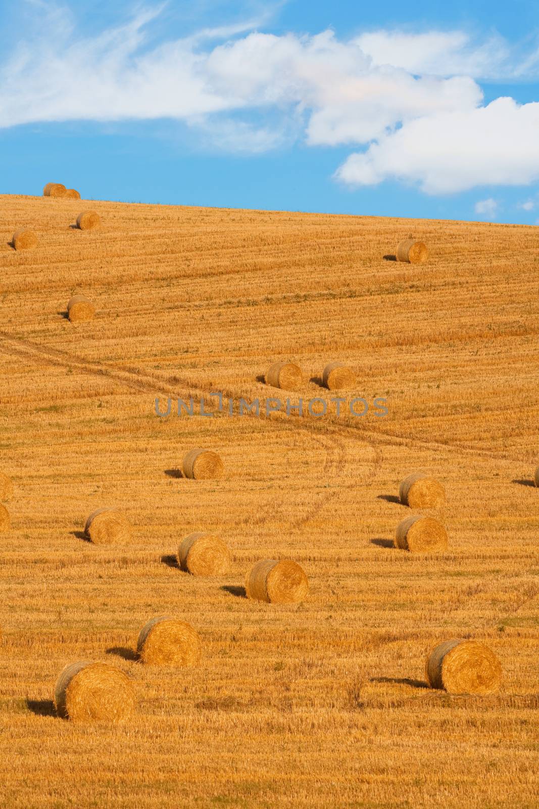 field with bales of hay, blue sky, bohemia, czech republic