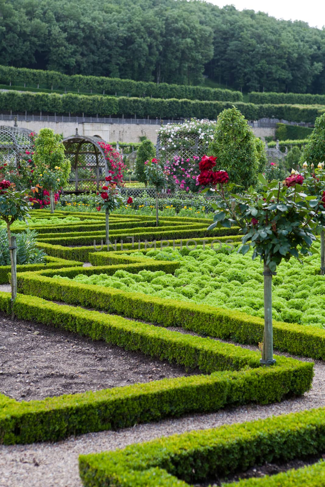 Gardens and Chateau de Villandry  in  Loire Valley in France 