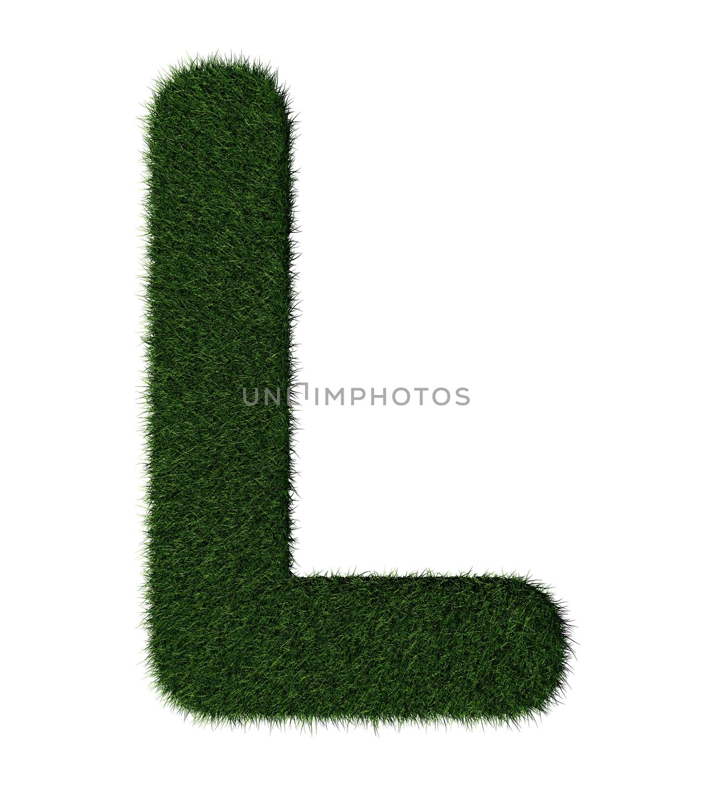 Letter L made with blades of grass