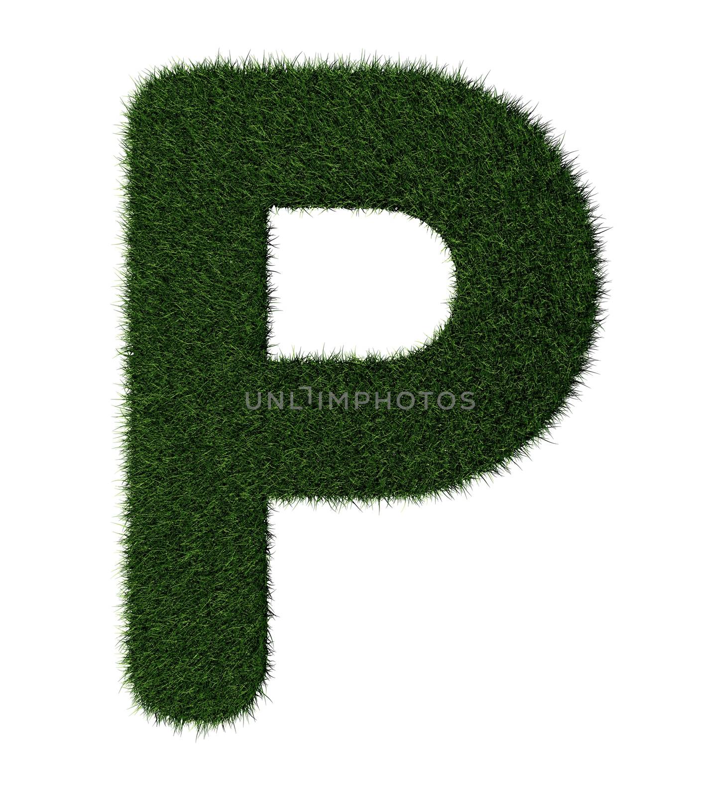 Letter P made with blades of grass