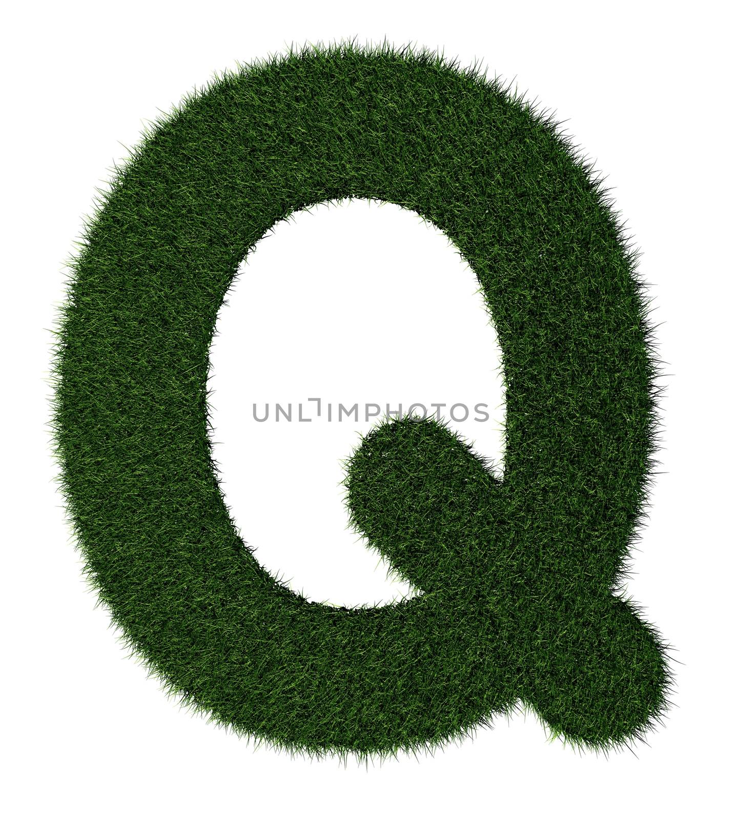 Letter Q made with blades of grass