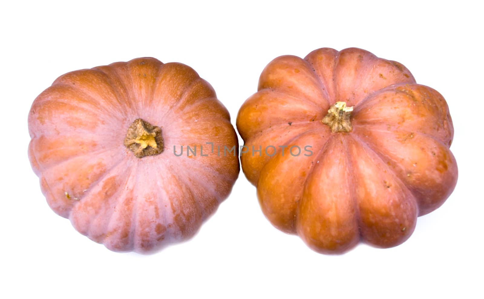 Ripe pumpkins on a white background seen from above