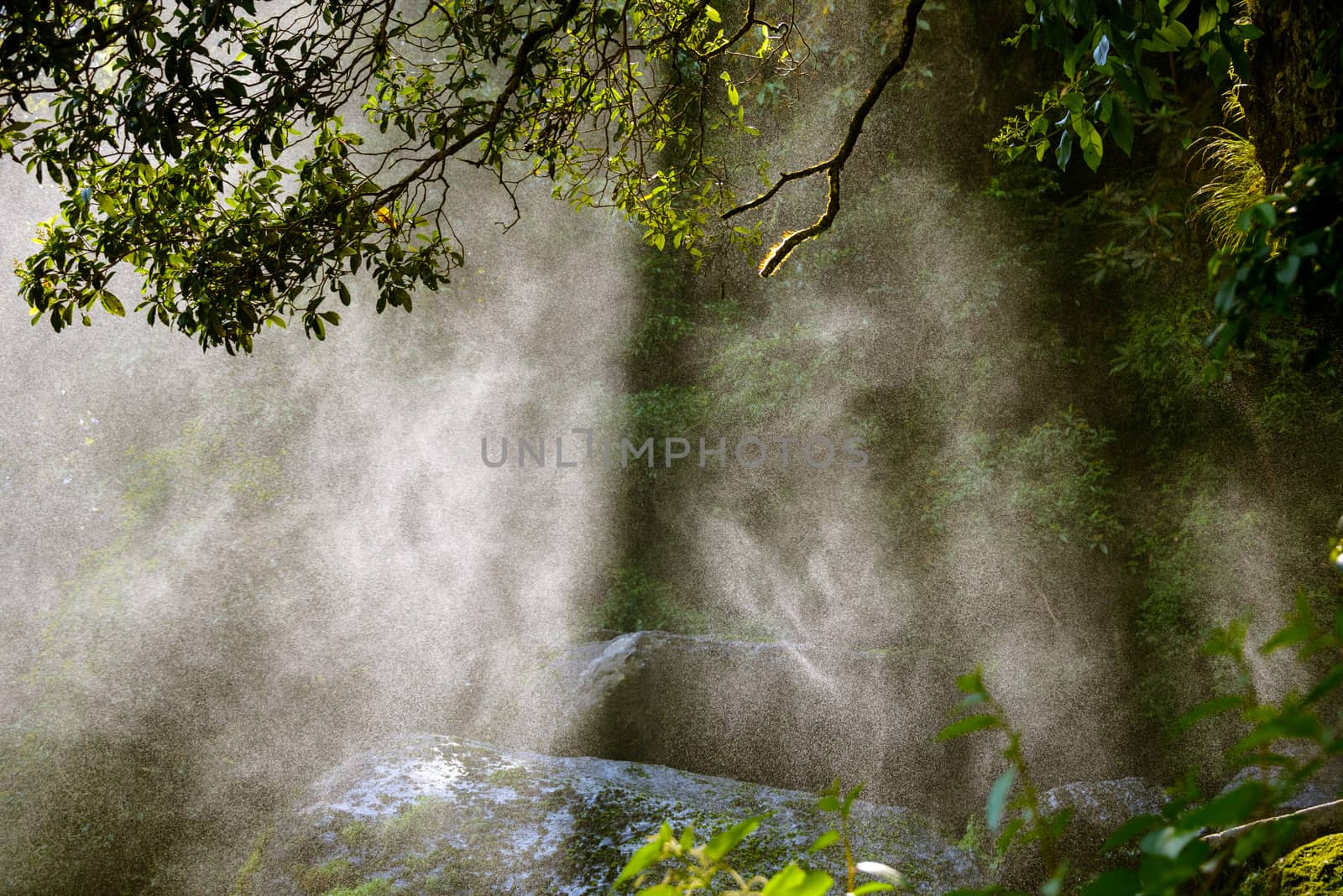 Backlit water spray from a waterfall in a forest