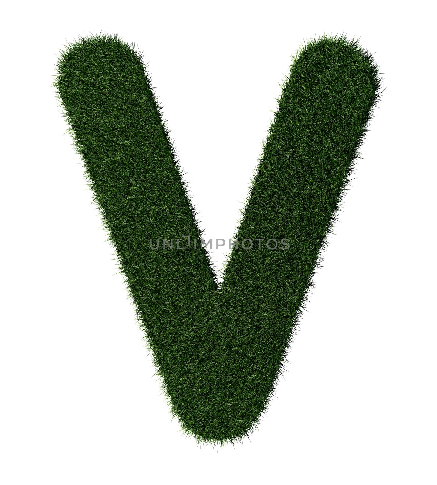 Letter V made with blades of grass