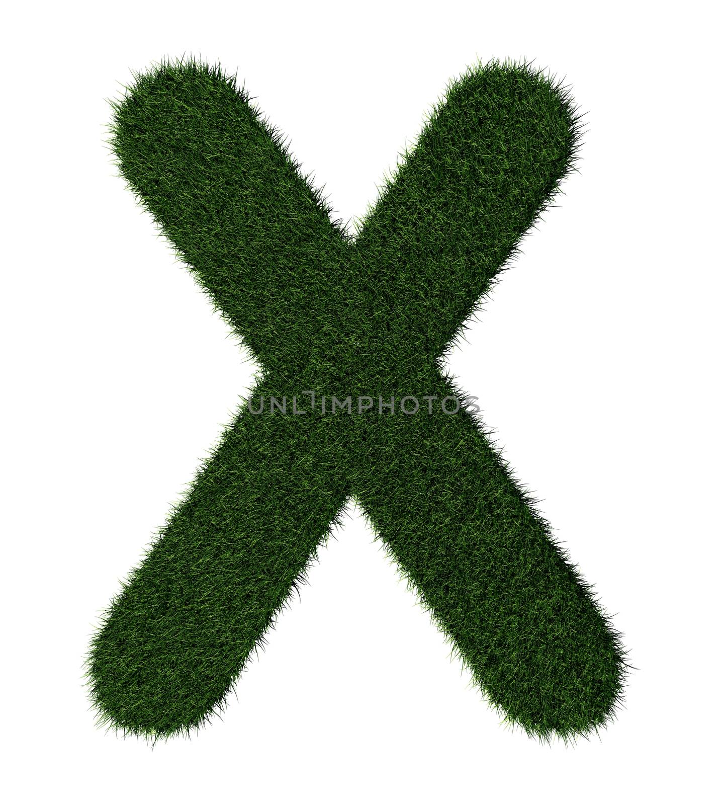Letter X made with blades of grass