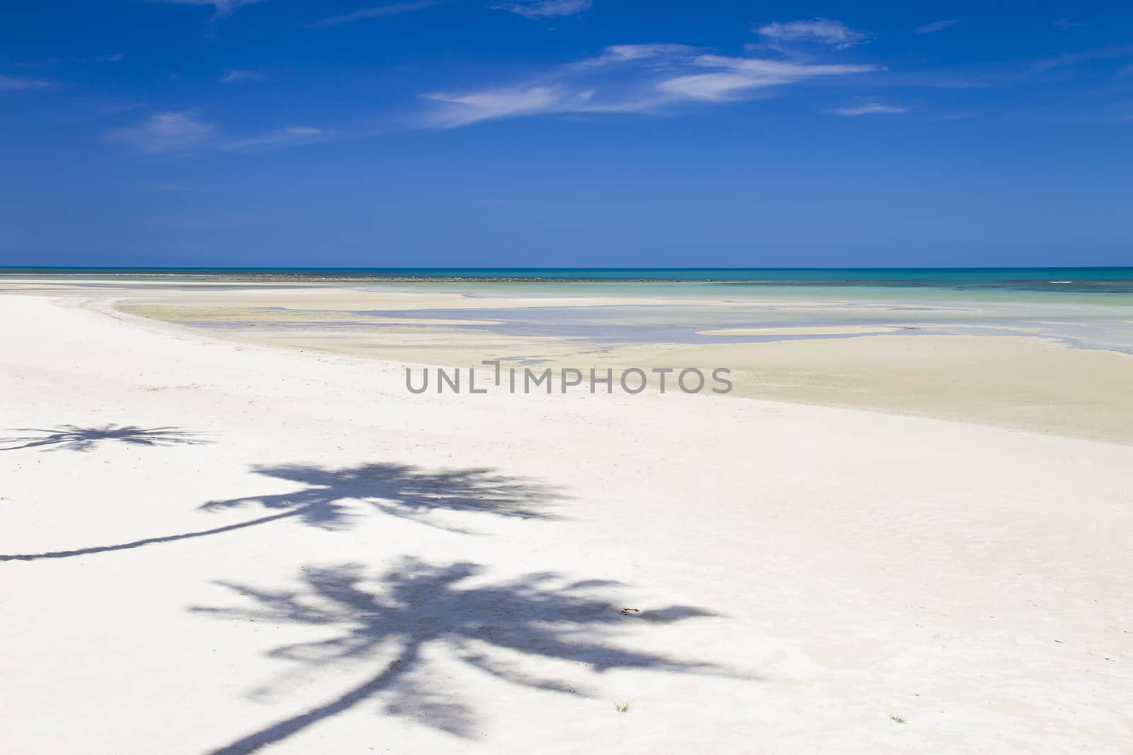 tropical beach with coconut palm trees. Koh Samui, Thailand