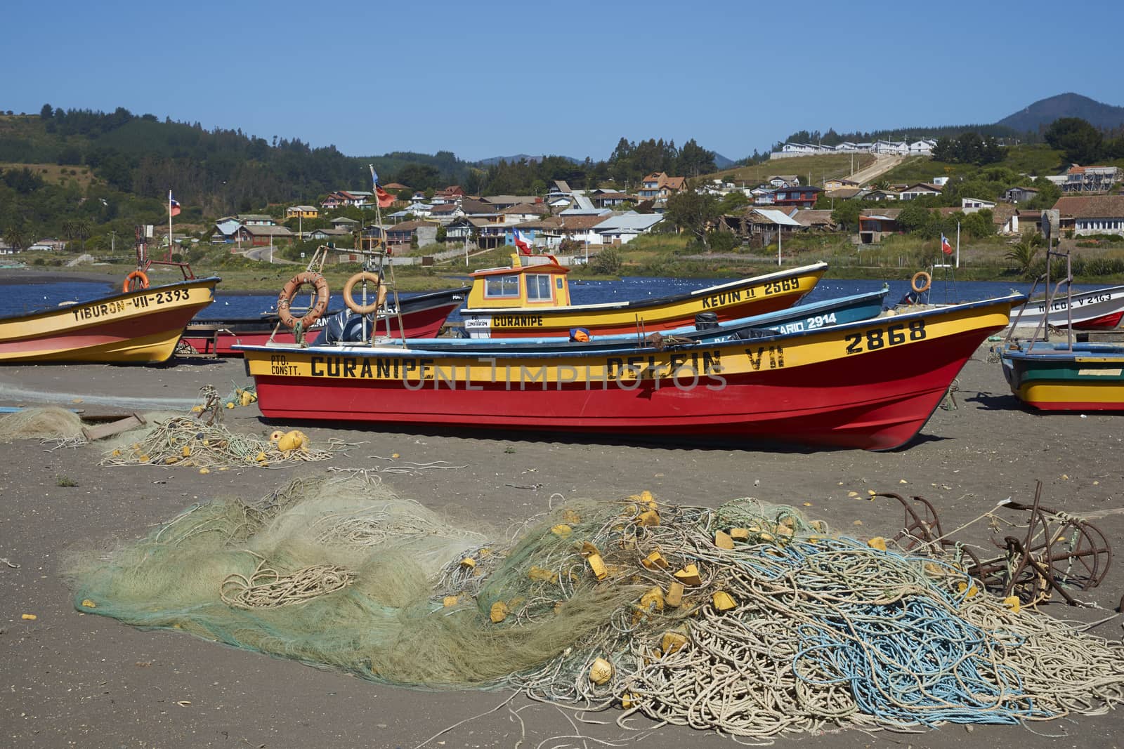 Colourfully painted wooden fishing boats drawn up on the on the beach in the small coastal town of Curanipe in Maule, Chile. The boats are pulled or pushed in and out of the sea using tractors.
