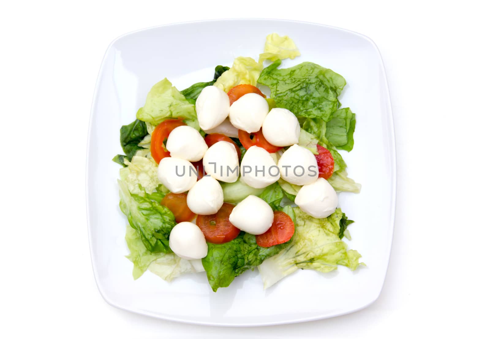 Salad with tomatoes and mozzarella on white background top view