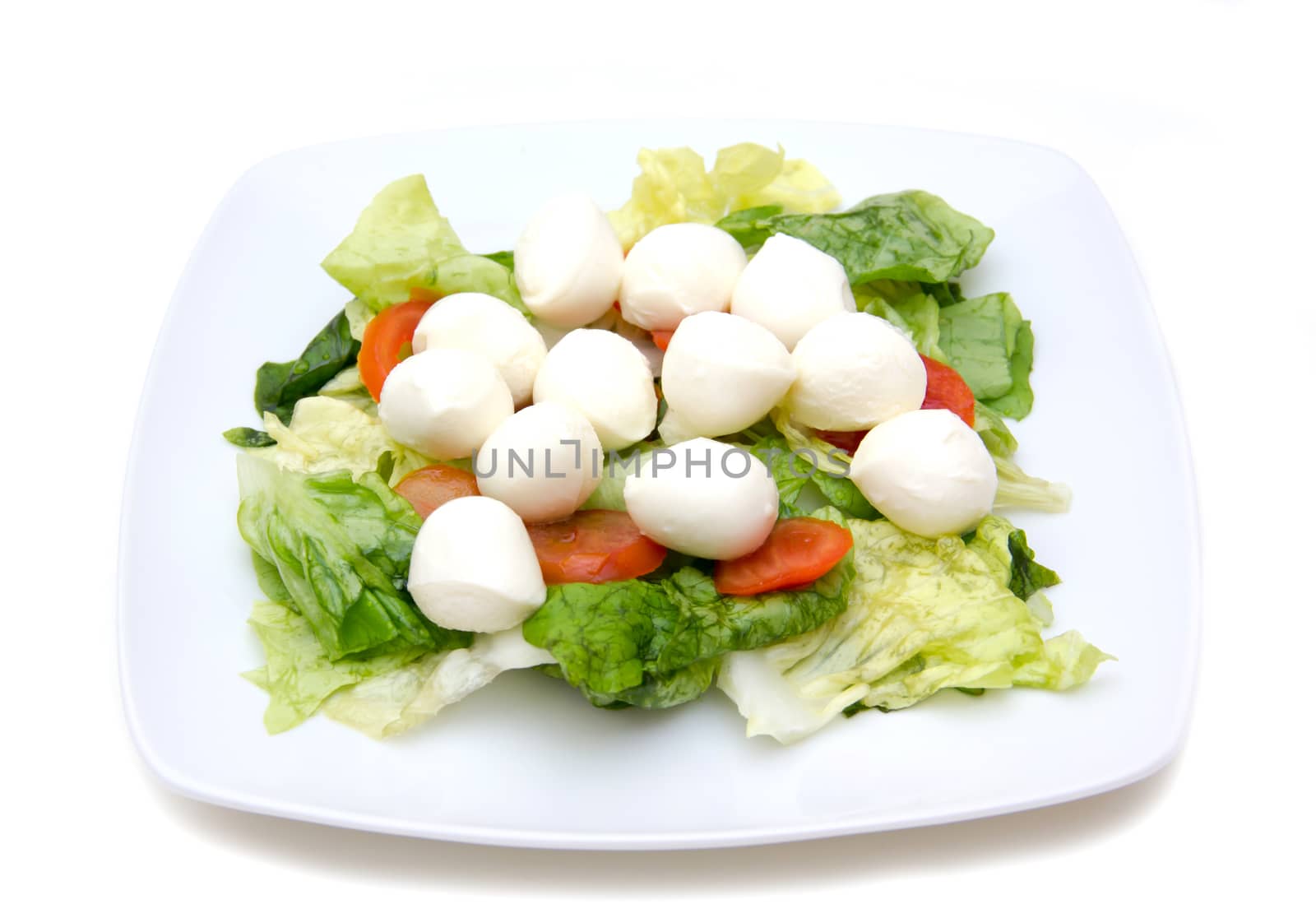 Salad with tomatoes and mozzarella on a white background