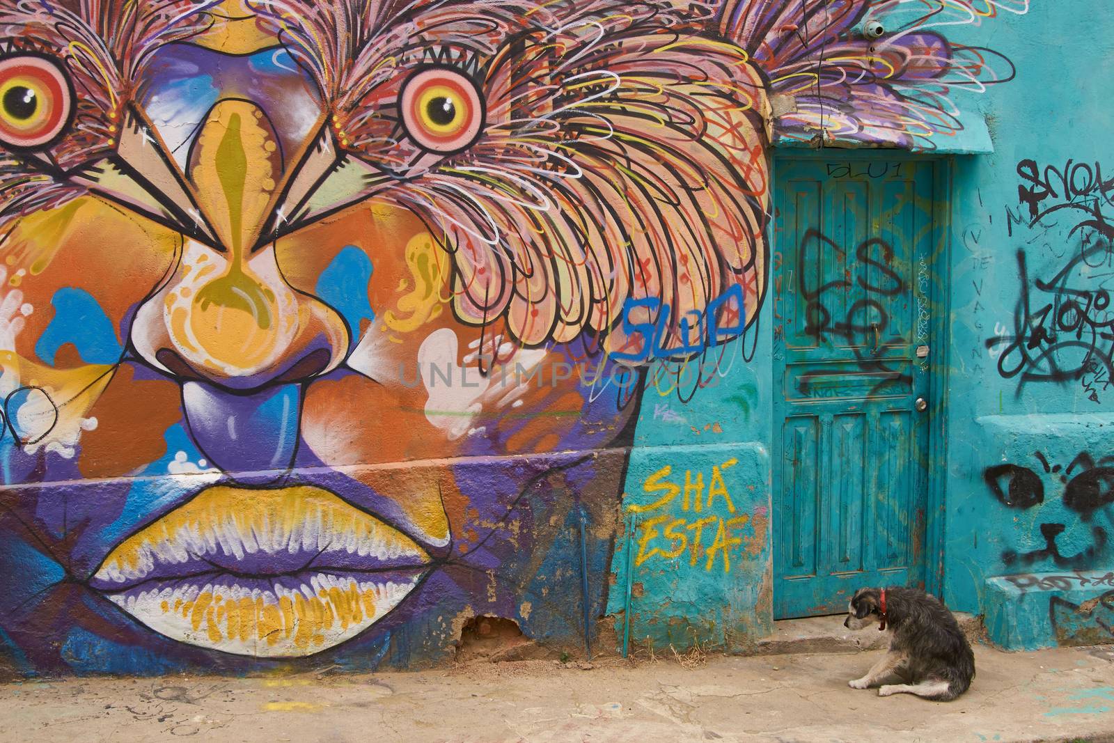 Colourful murals decorating buildings in the coastal city of Valparaiso in Chile. Graffiti is common in Chilean cities such as Valparaiso and is very much part of the culture and heritage of what is now also a UNESCO World Heritage Site.