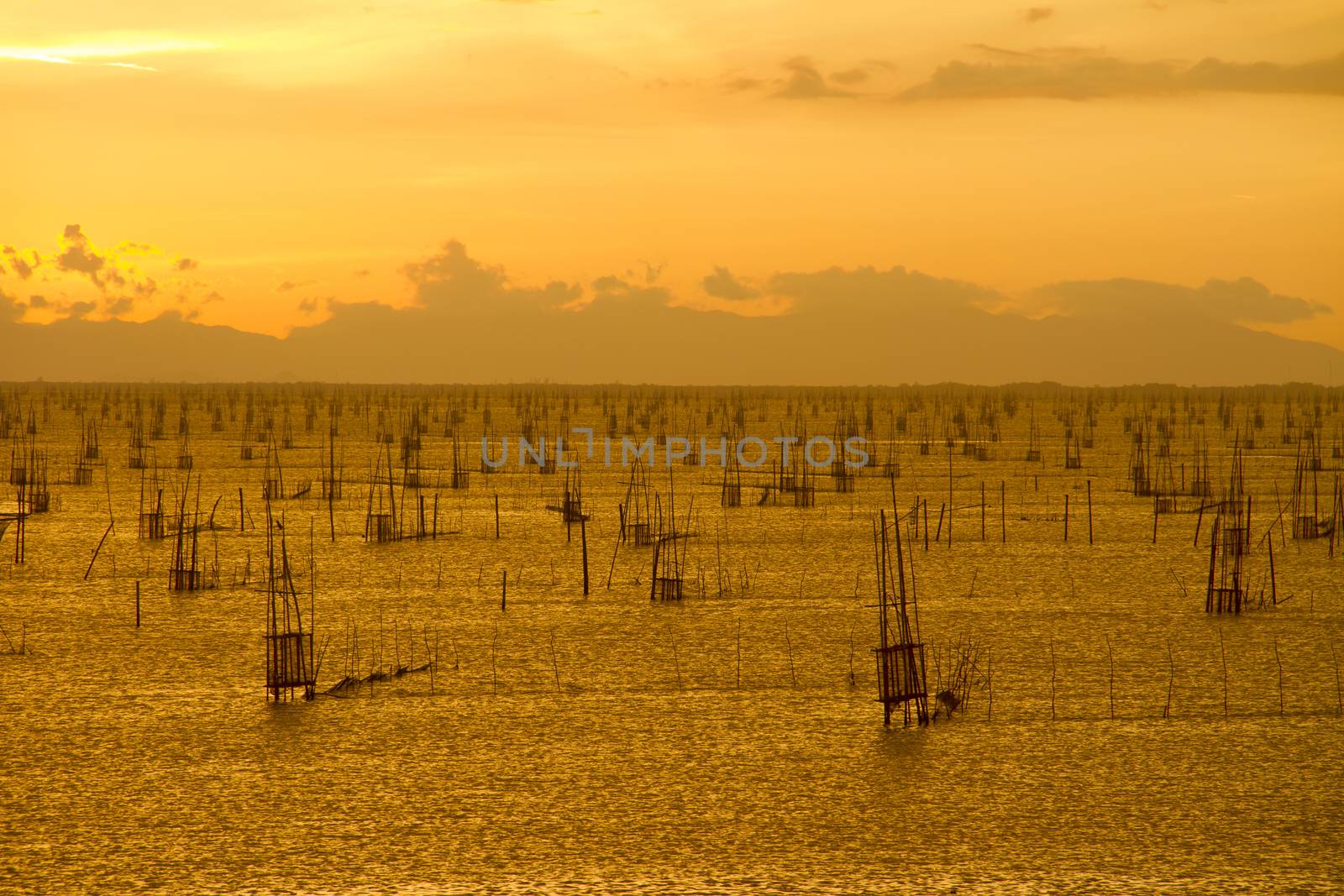 Fish coop farm in Songkhla Lake Thailand