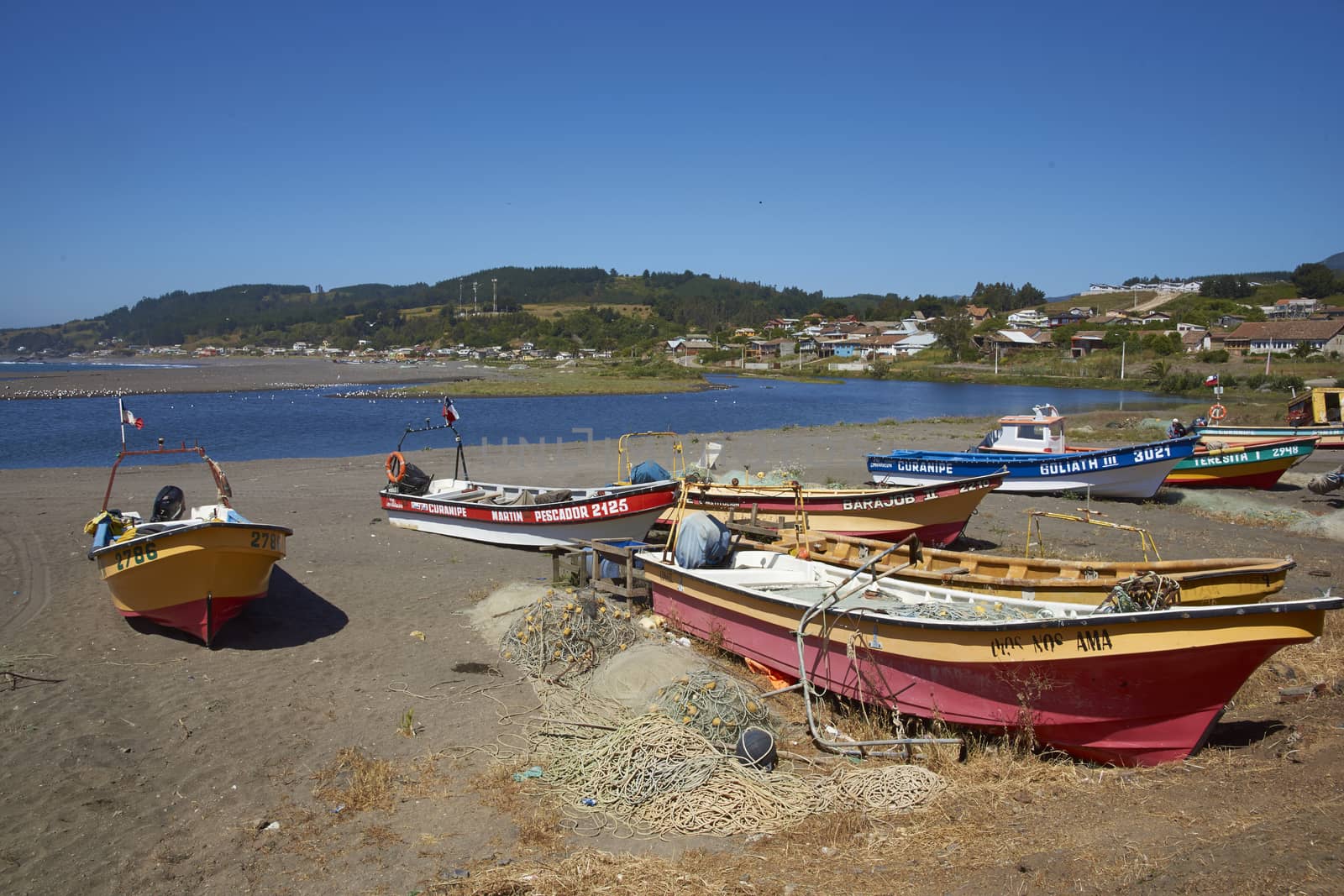 Colourfully painted wooden fishing boats drawn up on the on the beach in the small coastal town of Curanipe in Maule, Chile. The boats are pulled or pushed in and out of the sea using tractors.