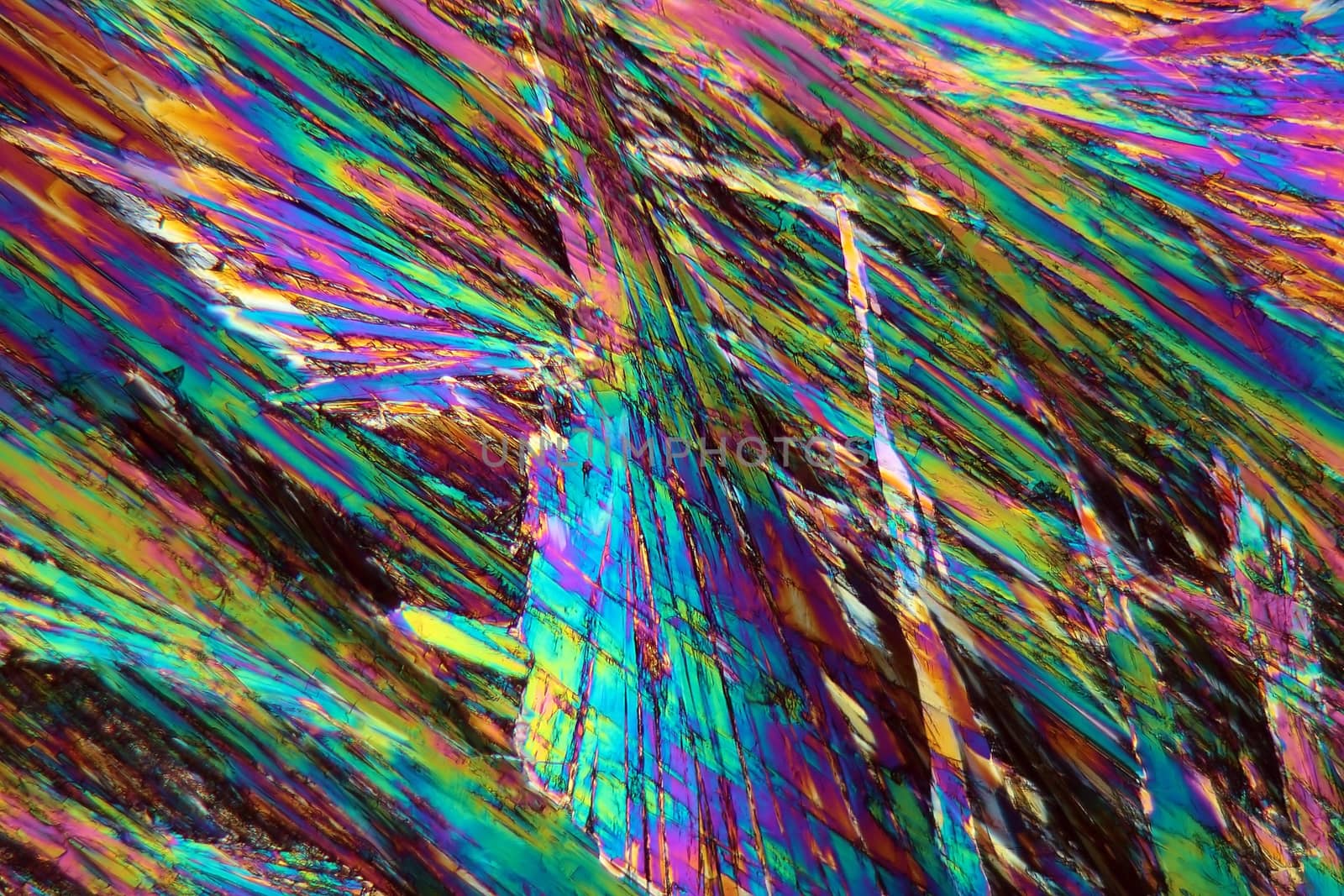 Vitamin B crystals under the microscope (magnification 80x and polarized light).