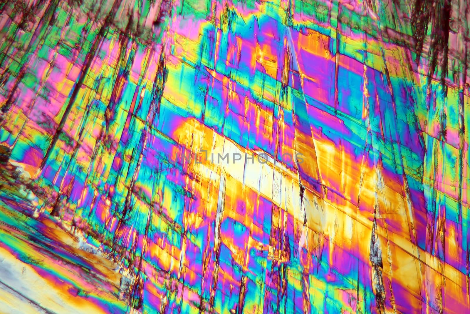 Vitamin B crystals under the microscope (magnification 80x and polarized light).