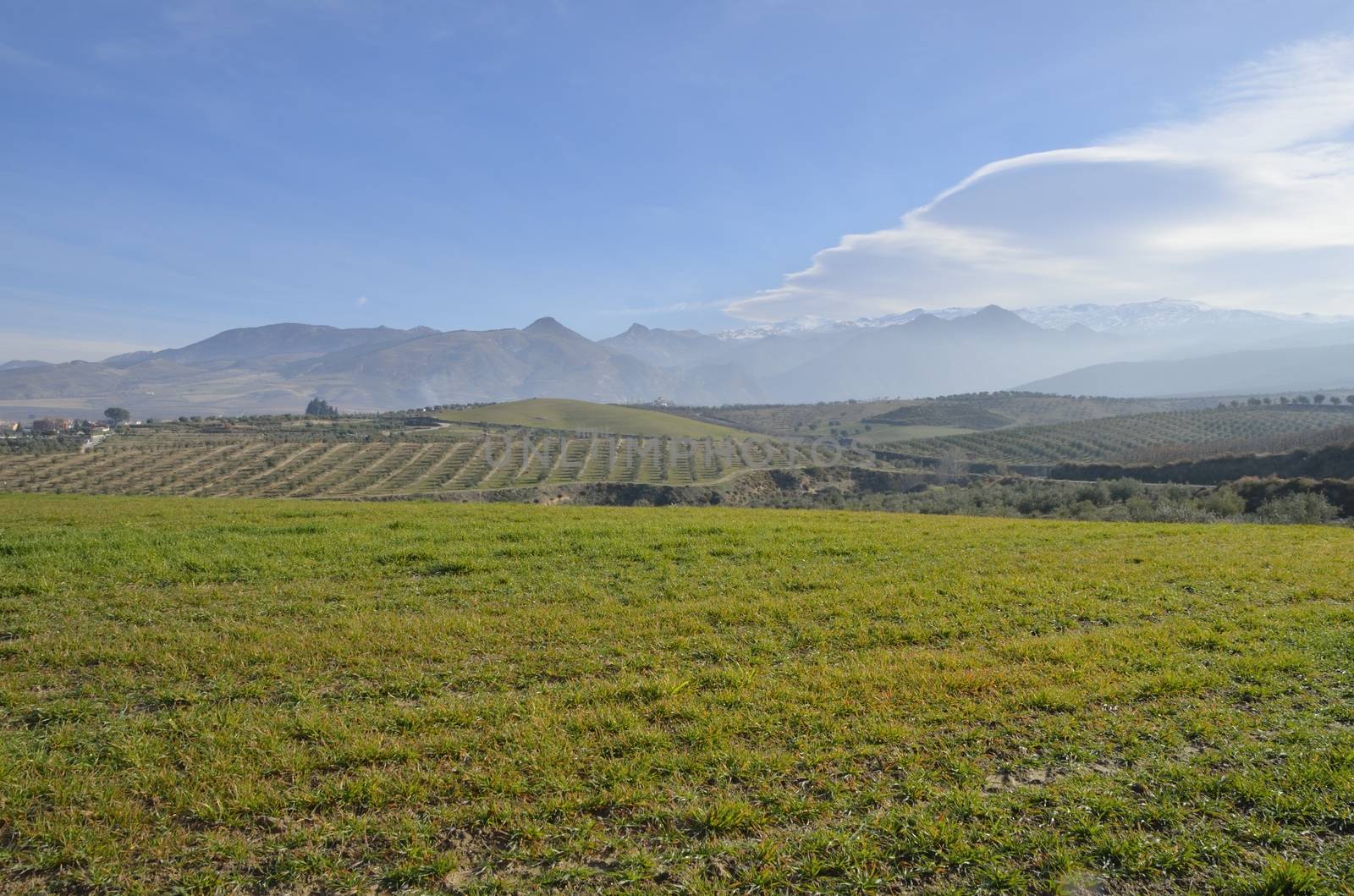 Snowy range seen from the countryside of Granada. It is a mountain range in the region of Andalusia, provinces of Granada in Spain and contains the highest point of continental Spain.