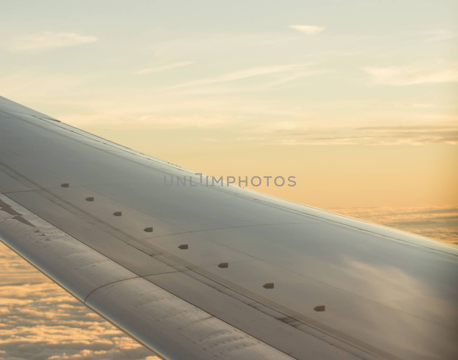 Airplane flying in sky in flight metal wing.