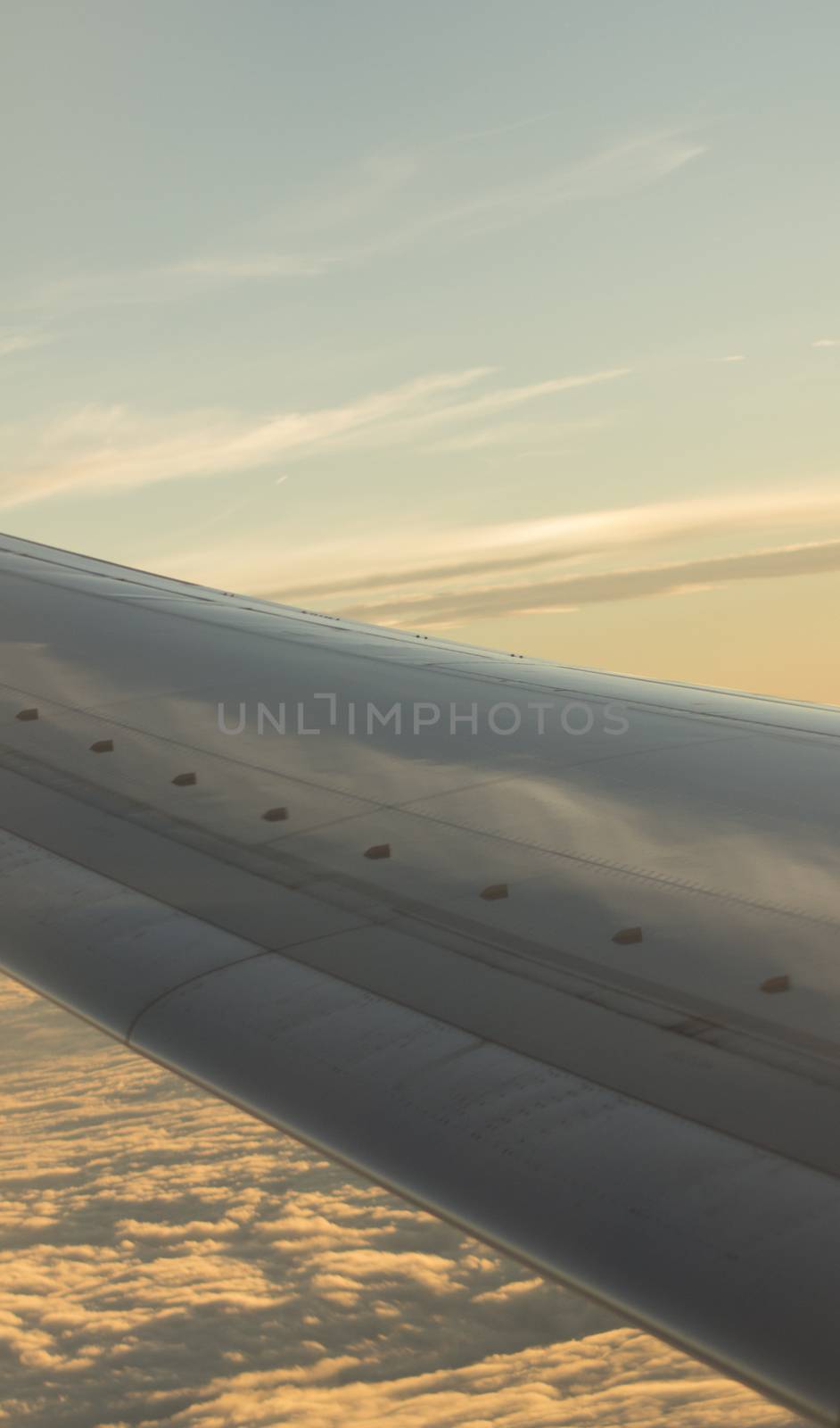 Airplane flying in sky wing in flight by edwardolive