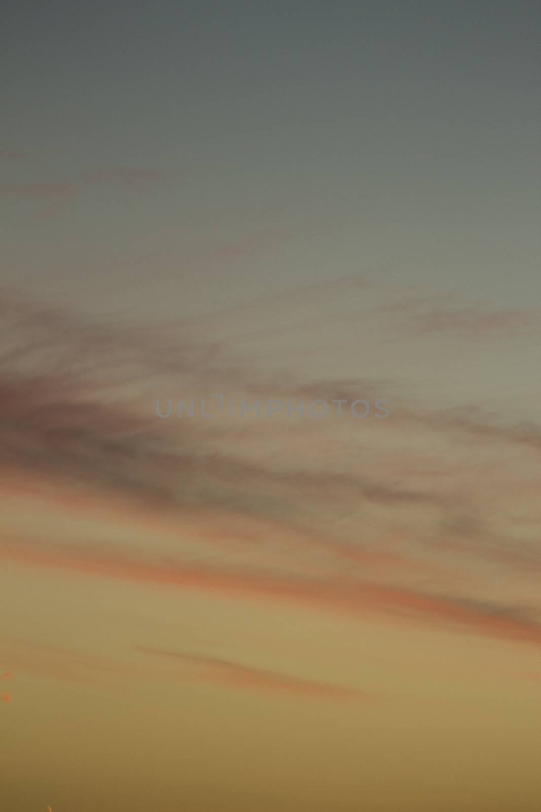 Airplane in sky with clouds in blue and pink purple sunset evening pastel colors photo shot from ground.