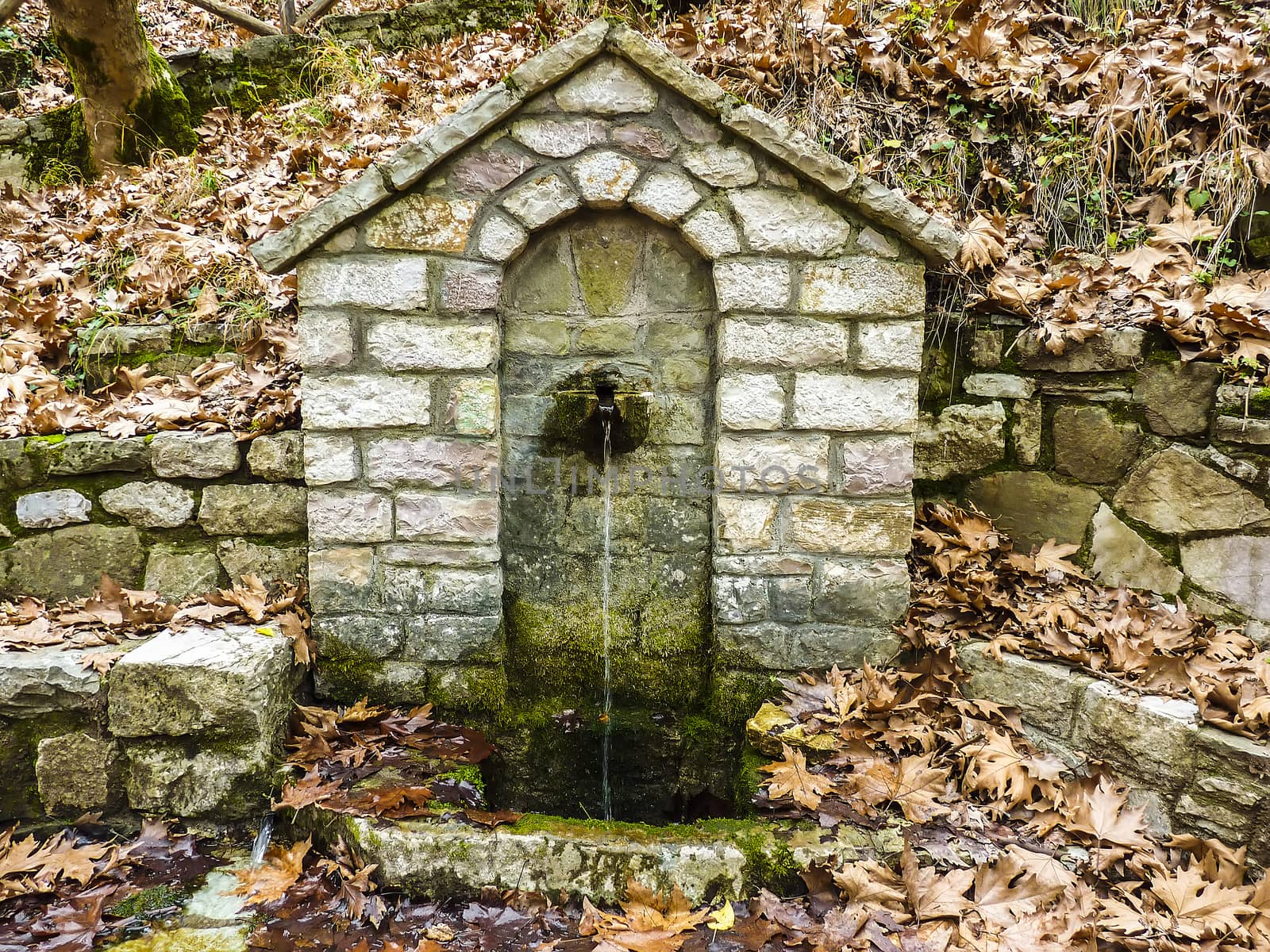 Stoned drinking fount in the Forest with winter leaves