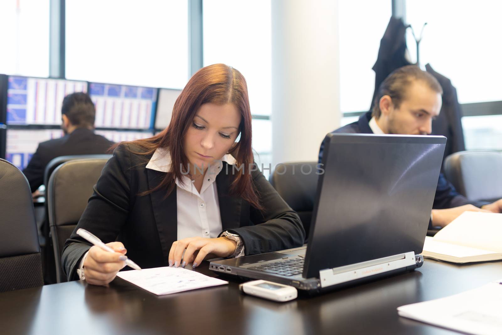 Businesspeople working on laptops in modern office.