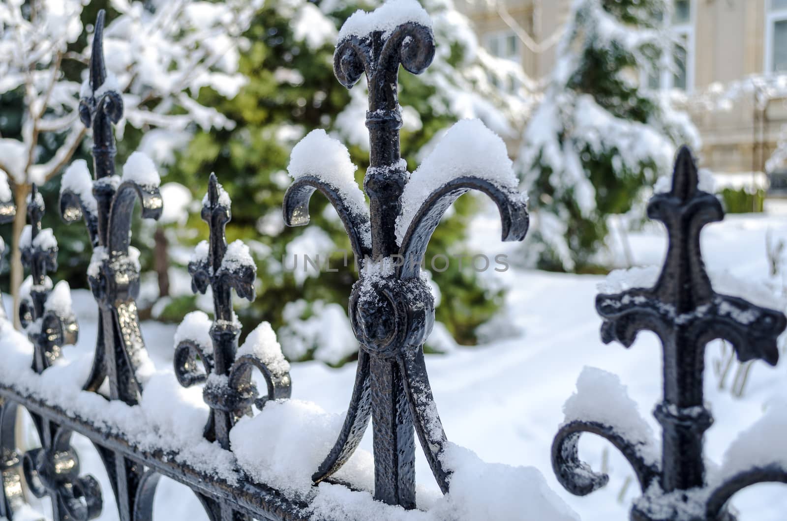 Snow cover rusty old fence closeup view