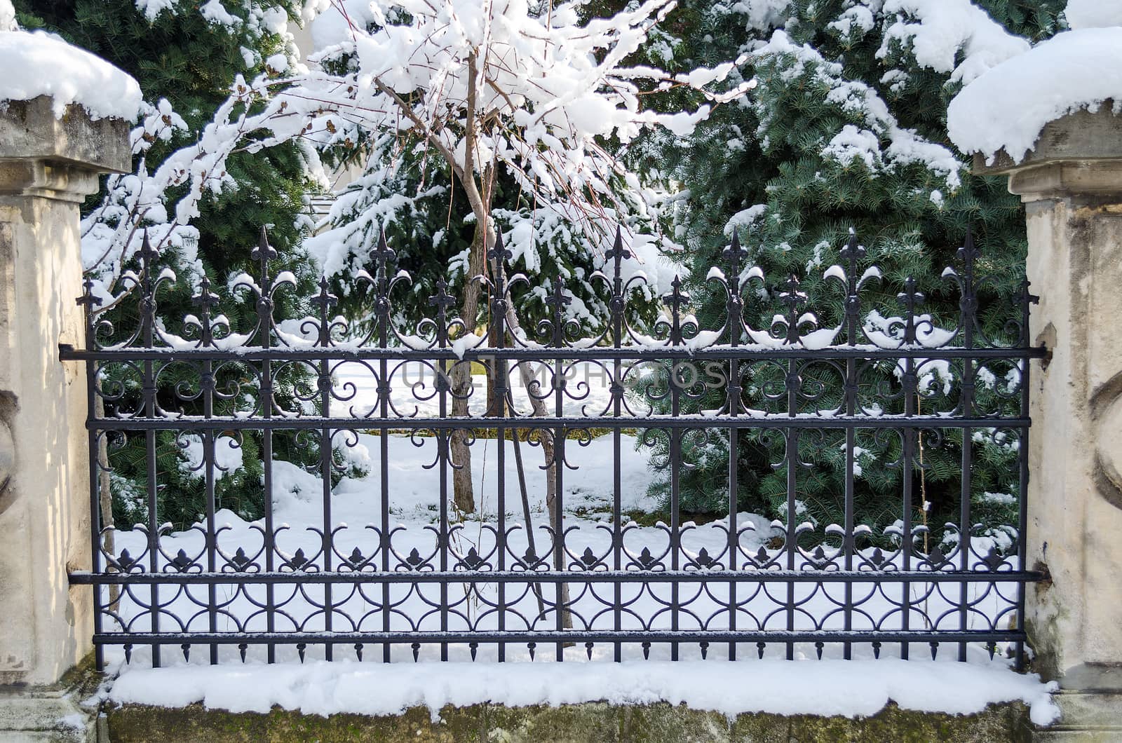 Snow cover rusty old fence closeup view