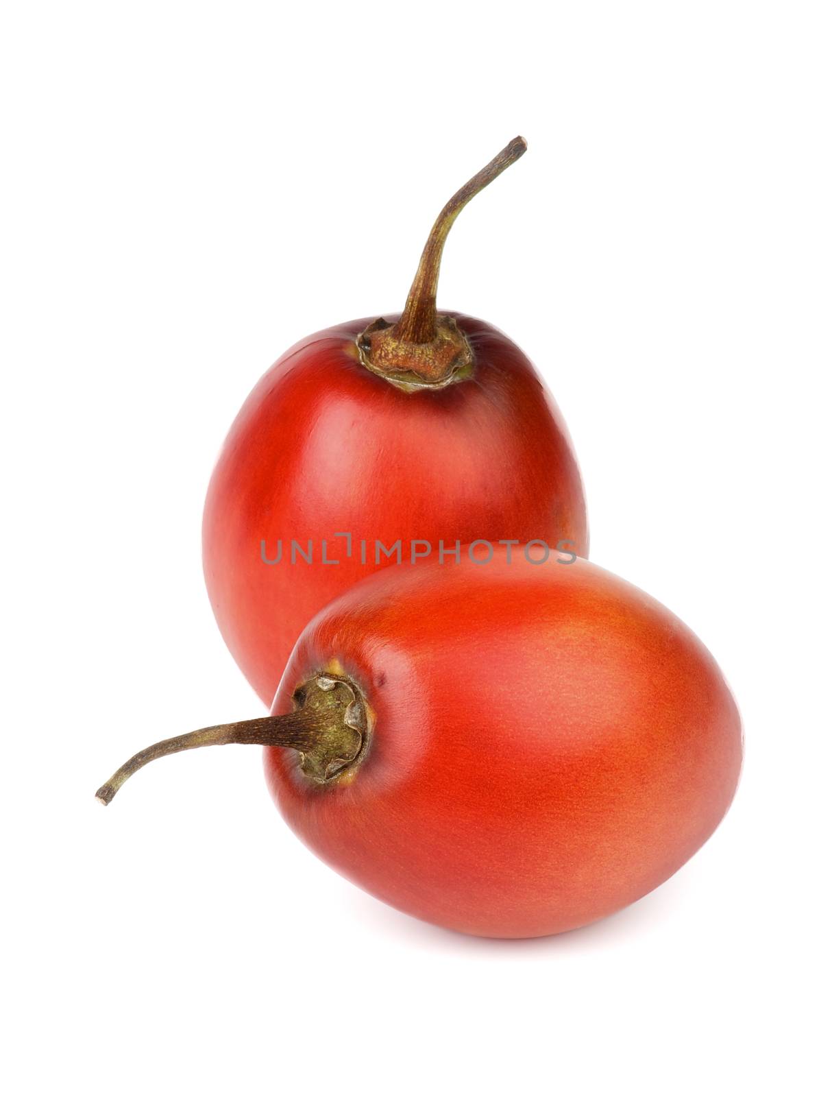 Two Exotic Tropical Fruits Tamarillo Full Body isolated on white background