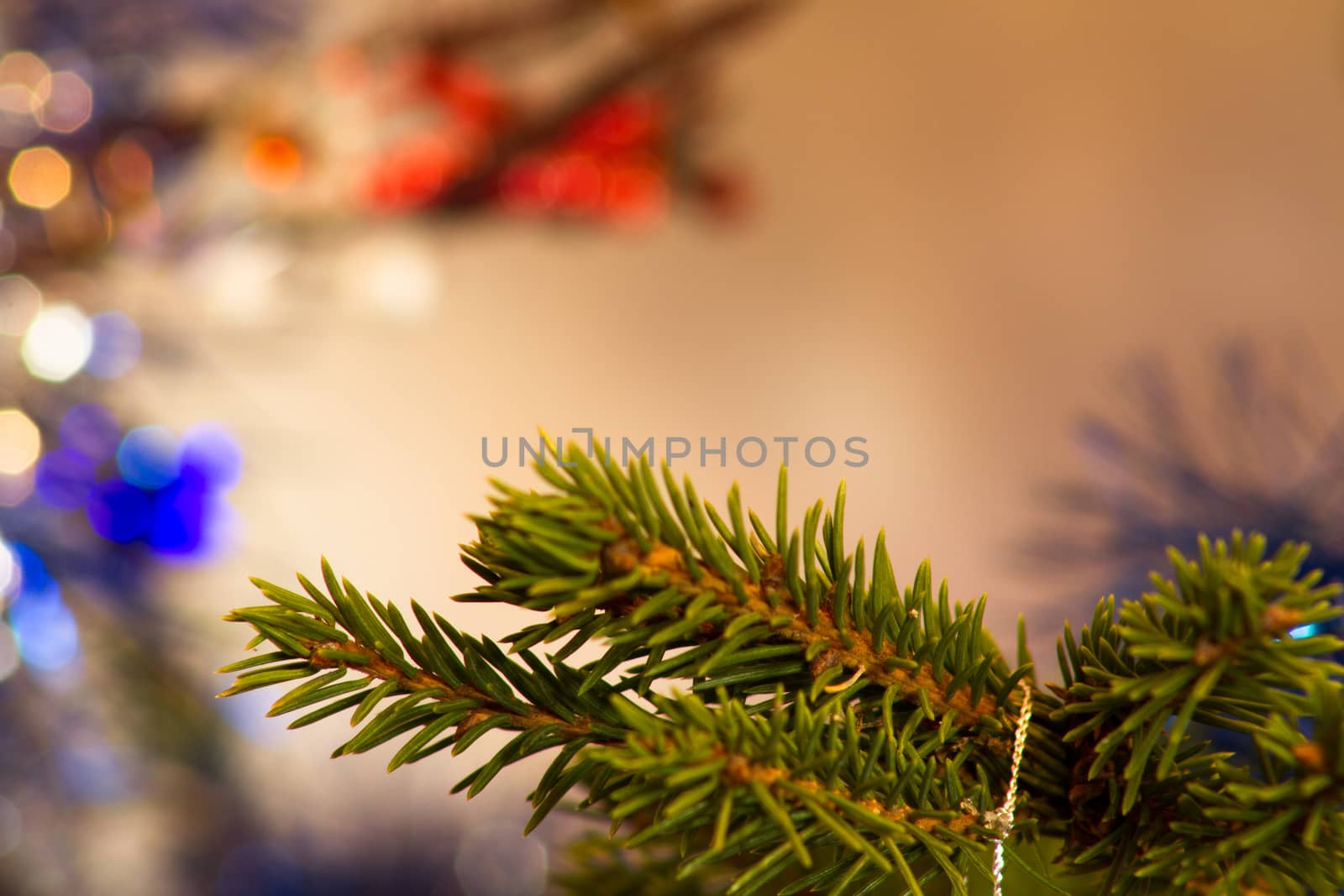 The branch Christmas trees abstract background, festive tinsel