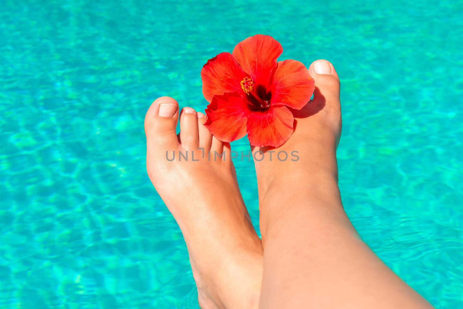 shapely female legs with red flower on the edge of the pool