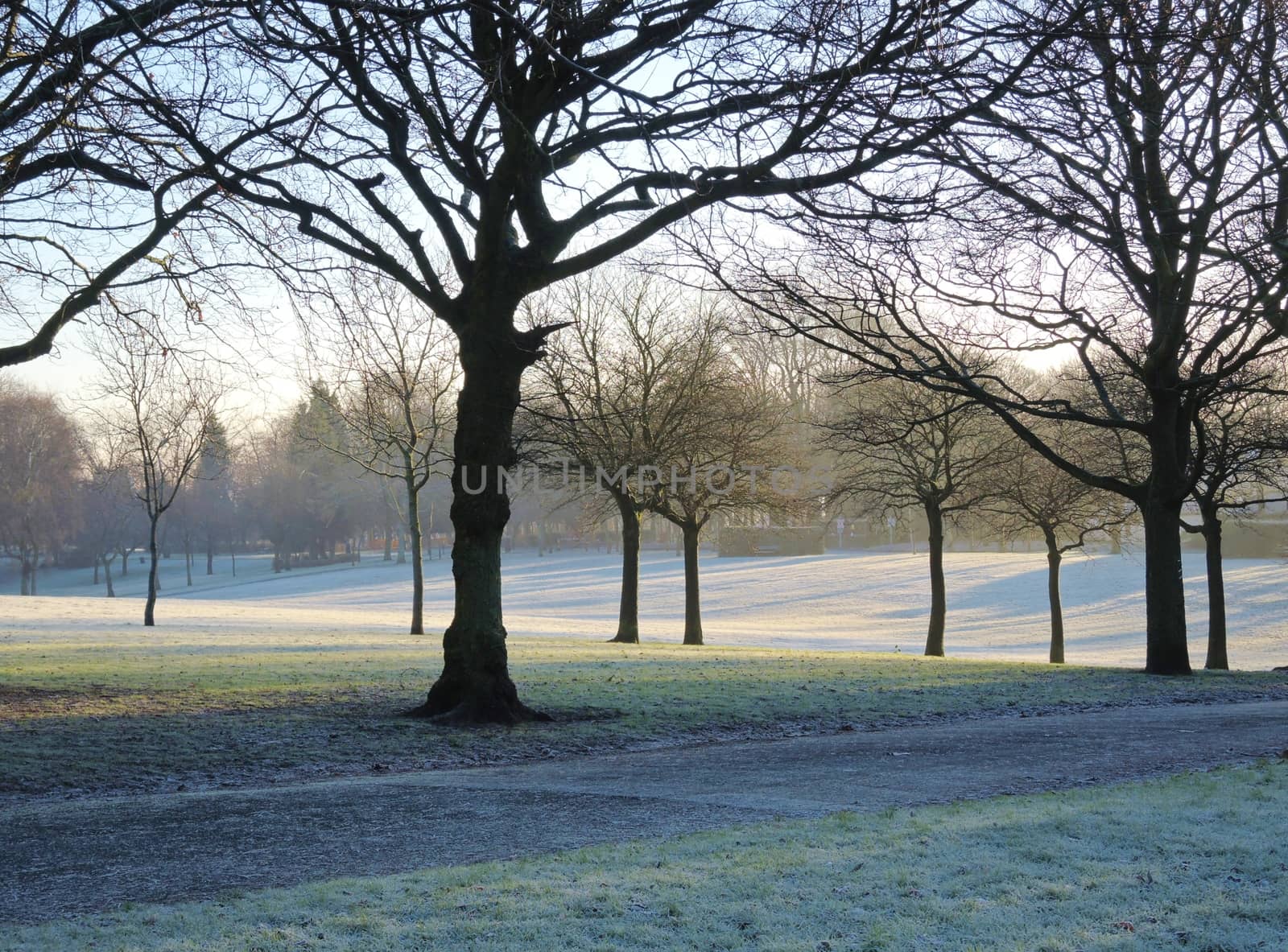 An image of a frosty landscape, photographed in December.
