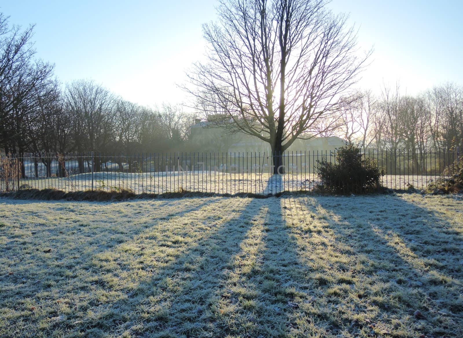 An image of Winter sun in a cold frosty landscape.