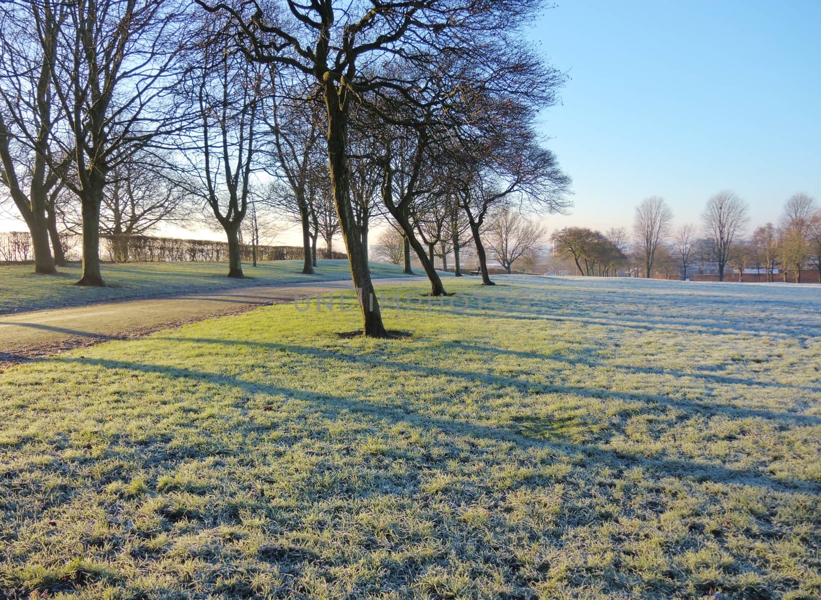 A Frosty Winter Landscape. by paulst