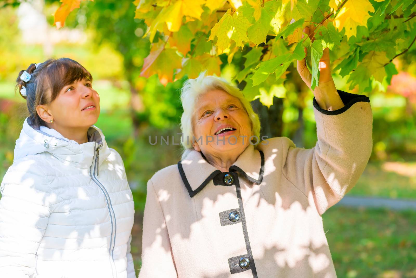 Walk girl with her grandmother in the park in autumn