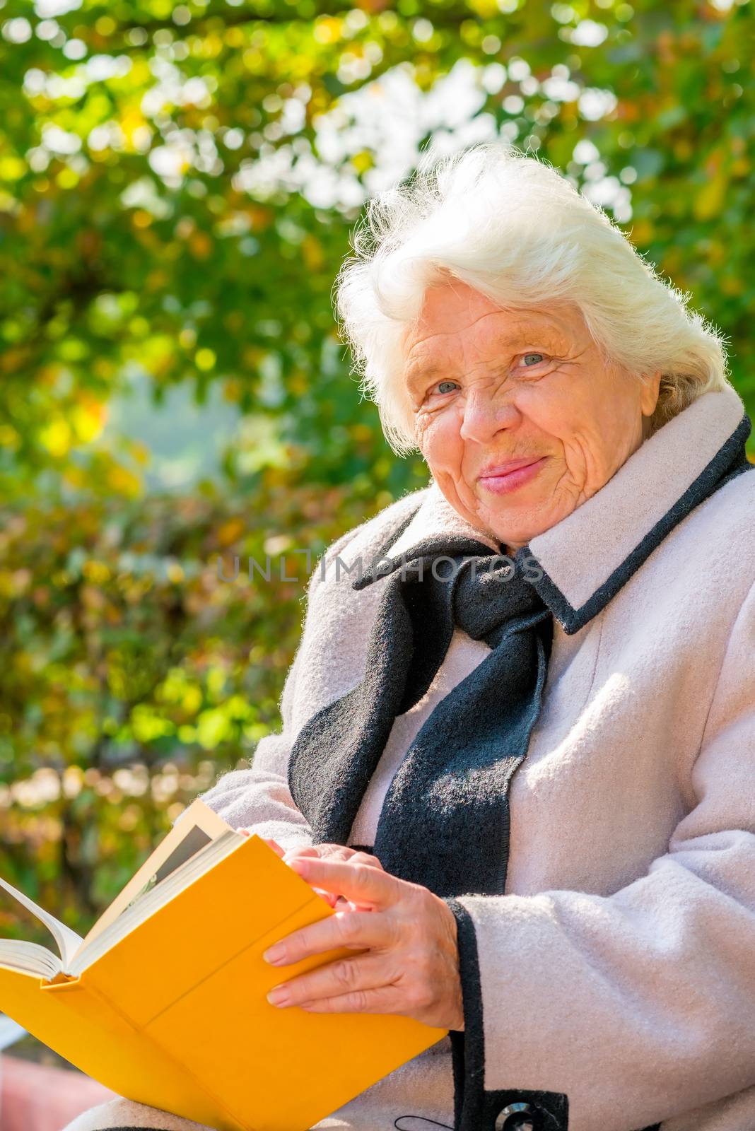 portrait of a happy grandmother on a park bench by kosmsos111