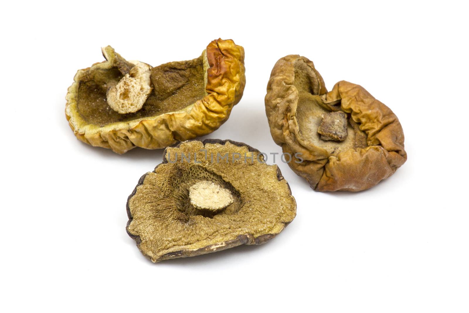 dried mushrooms on white background