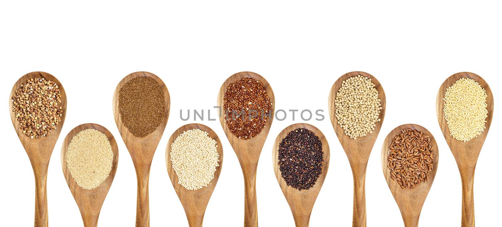 a variety of gluten free grains (buckwheat, amaranth, brown rice, millet, sorghum, teff, black, red and white quinoa) on wooden spoons isolated on white