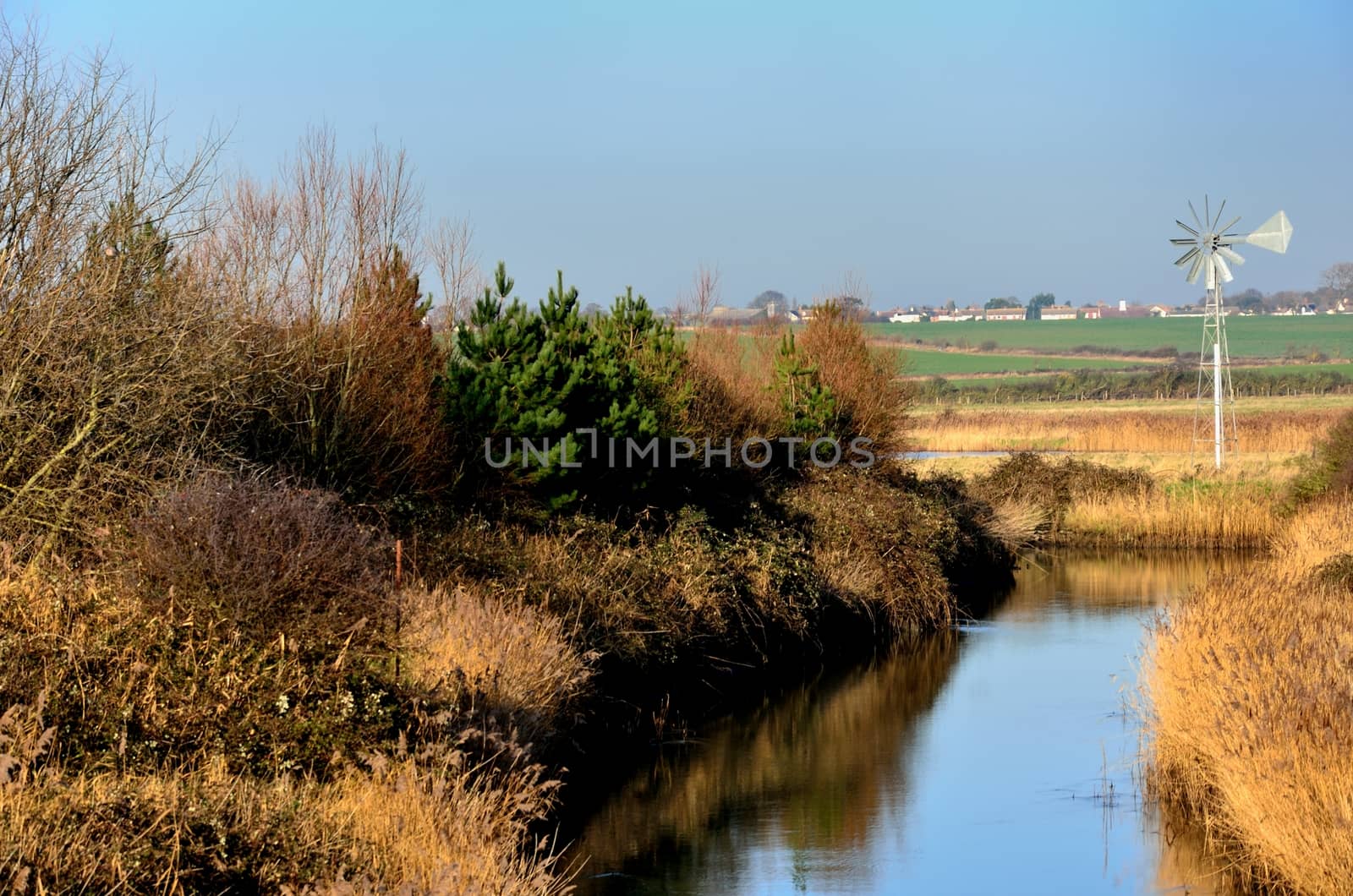 autum scene in essex