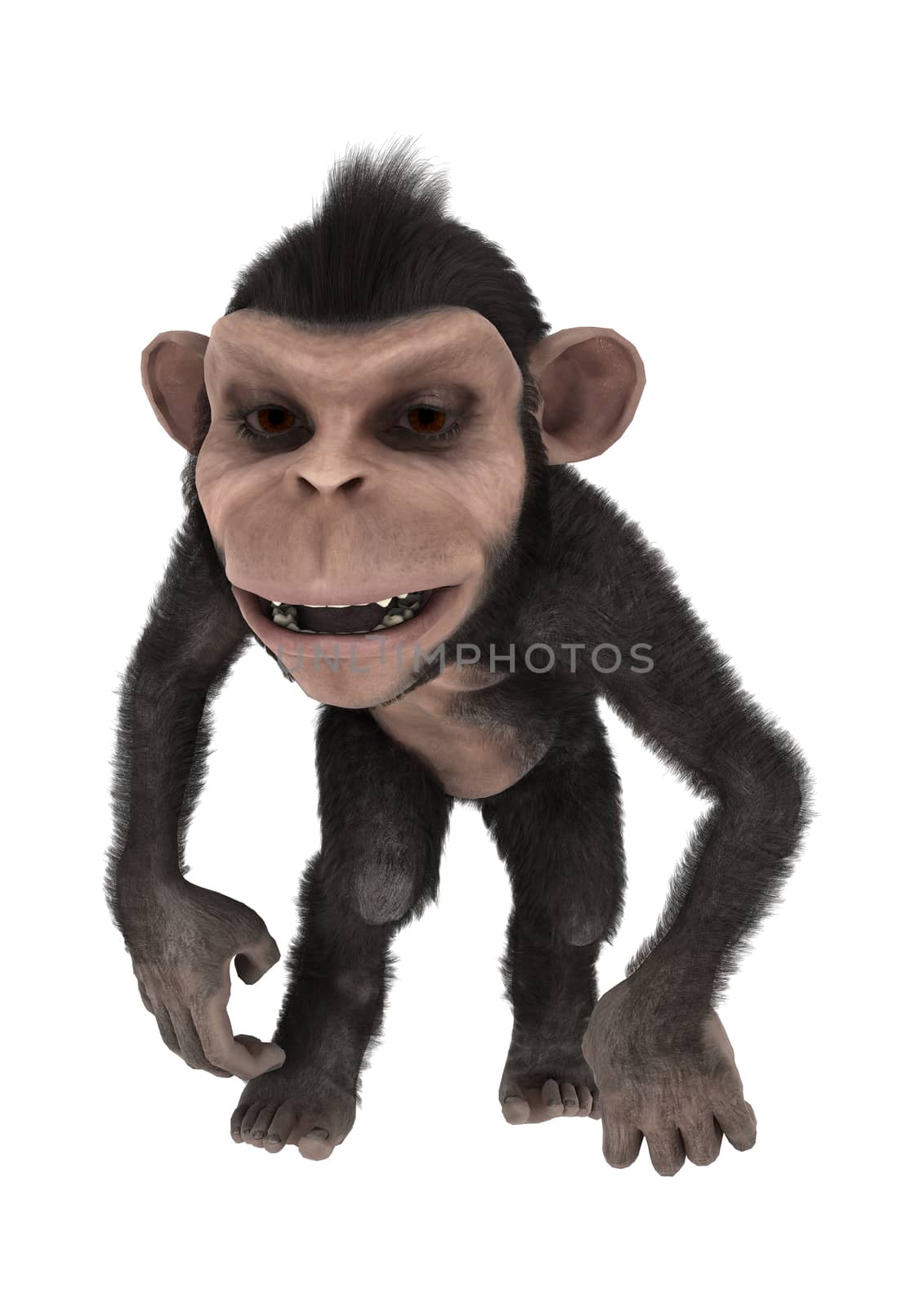 3D digital render of a cute little chimpanzee isolated on white background